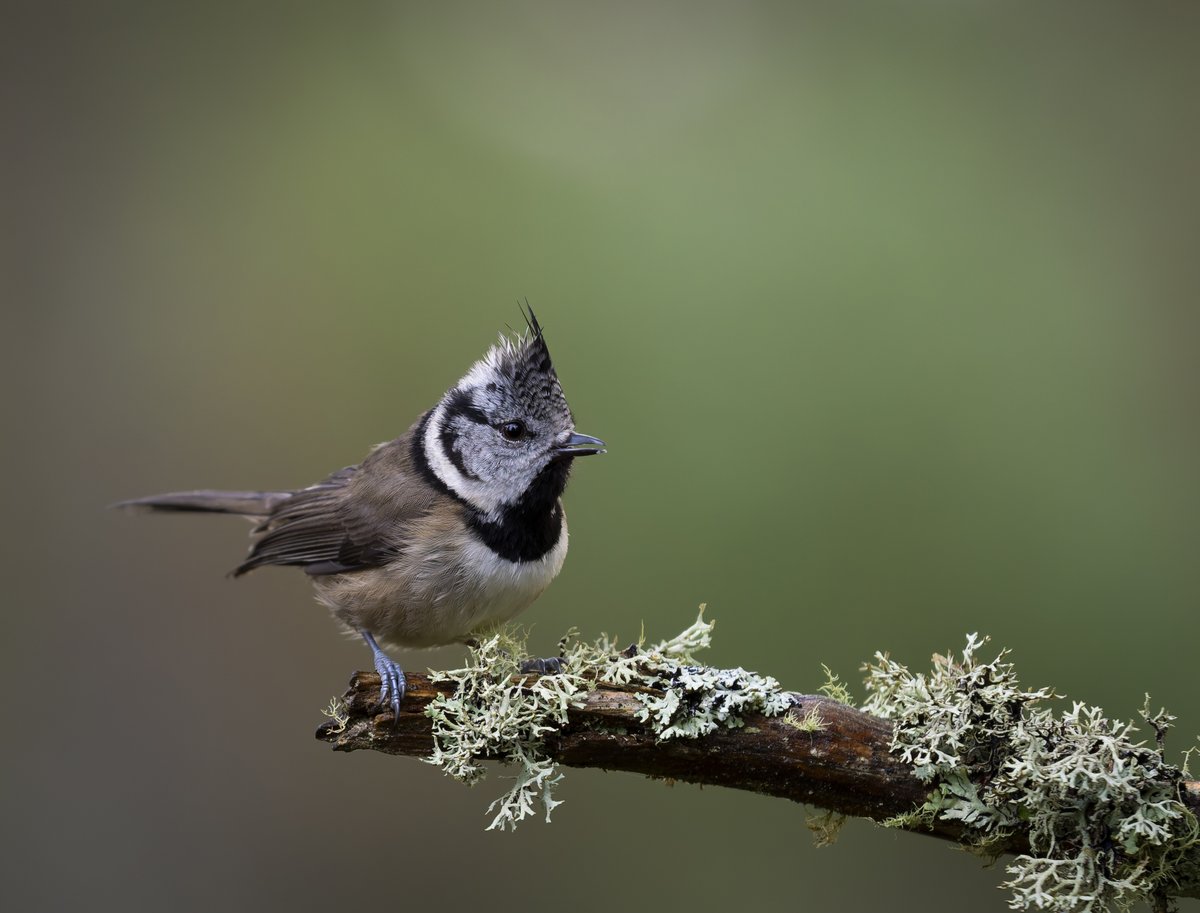 paulbromley9's tweet image. The main reason for my Scottish trip recently, with thanks to Pete Walkden ! Nice to see Les Cater too !
