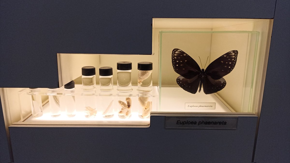 🚩Gençlik ve Spor Bakanlığının ÜNİDES desteğiyle yürütülen “Bilim ve Teknolojinin İzinde Gençler Bilim Merkezinde”projesi kapsamında, FETET topluluğu üyeleri
🦋 Konya Kelebekler Vadisi’ne unutulmaz bir gezi gerçekleştirdi.🕵

#ÜNİDES