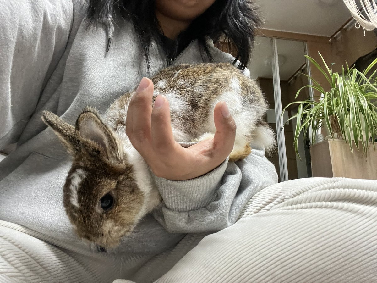 ㅇ ㅒ 서커스해욧;;!!;;;;