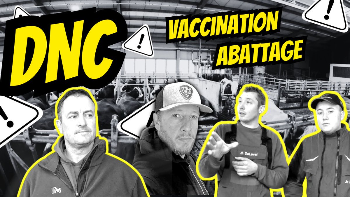 youtu.be/XaDrhxvDbs4
Rdv 10h30 !