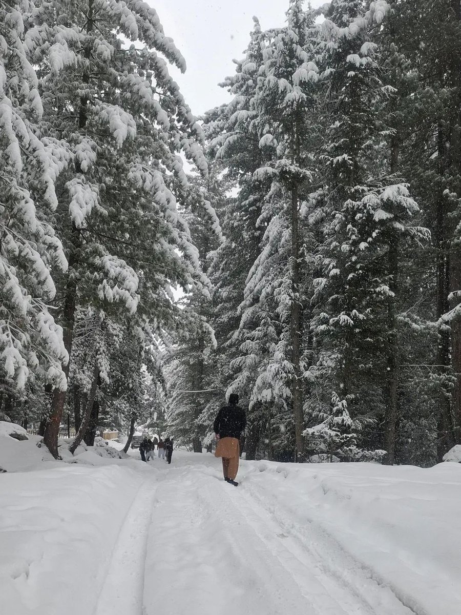 kumratvalley's tweet image. #kumrat
kumratvalley.blogspot.com/2022/03/roads-…