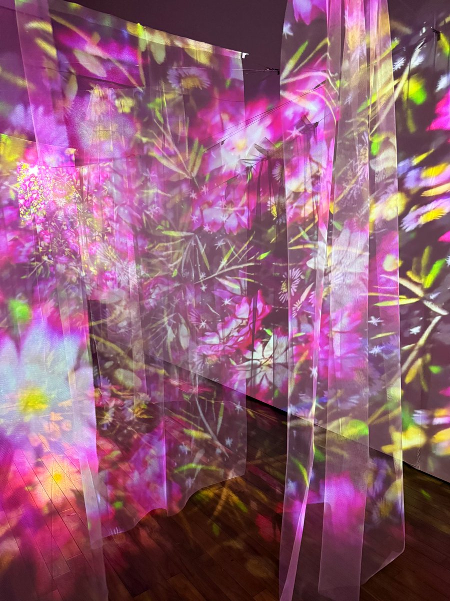 riesria's tweet image. 地元の美術館で開催されてた旅する光の切り絵展に行ってきました。
今日が最終日。
体験型の空間アート。
見応えありだった。