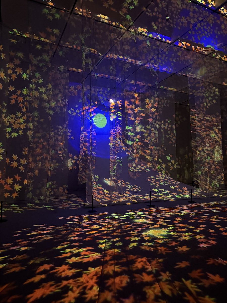 riesria's tweet image. 地元の美術館で開催されてた旅する光の切り絵展に行ってきました。
今日が最終日。
体験型の空間アート。
見応えありだった。