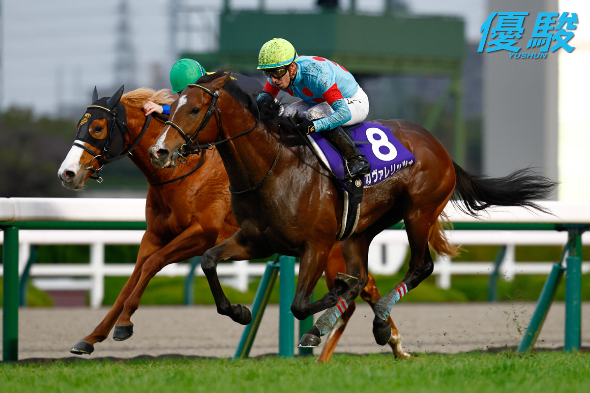 ひらちゃん (@hirachan0909) / Posts / X