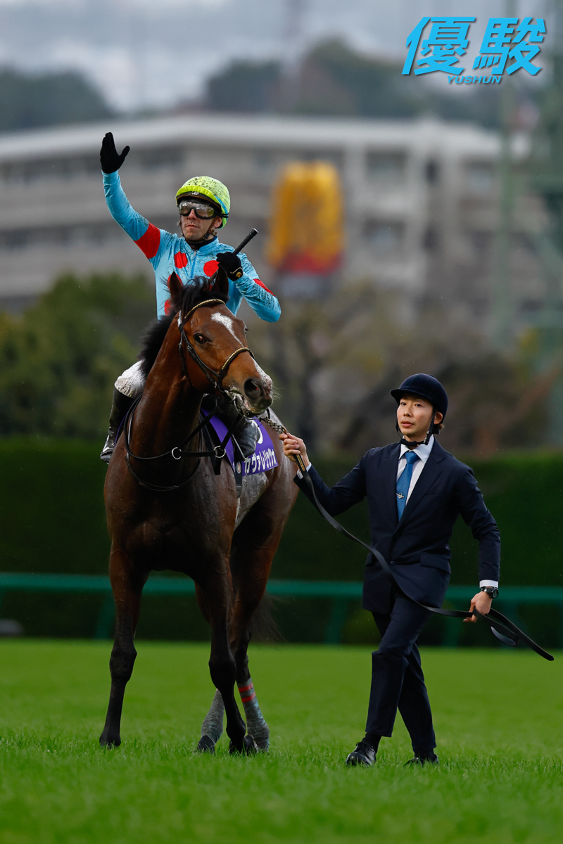 ひらちゃん (@hirachan0909) / Posts / X