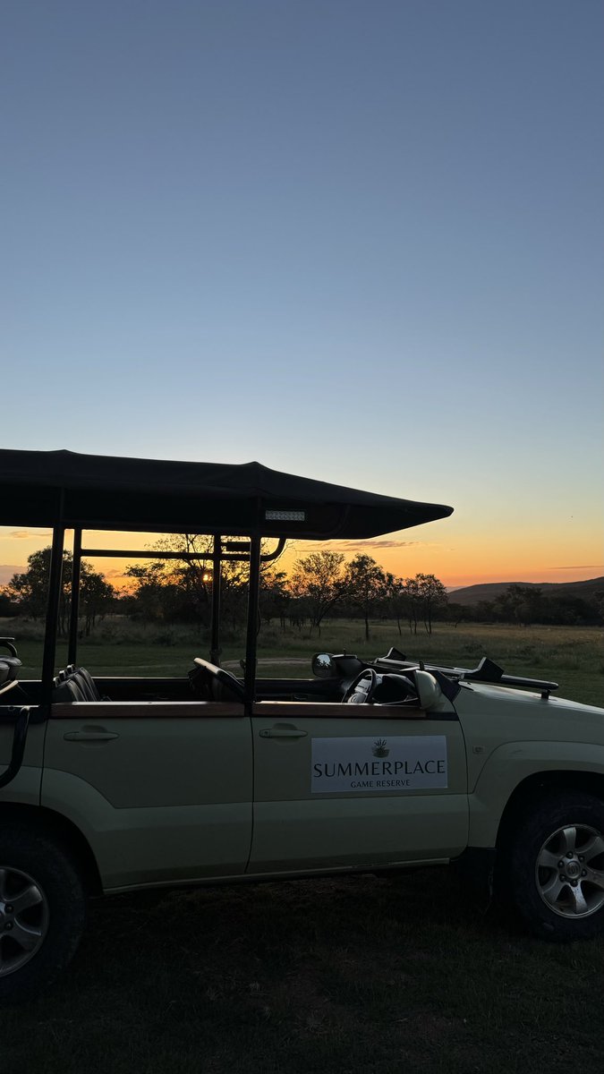 anngelc23's tweet photo. Sunset game drives 🐢 https://t.co/c5IP4gPfQ2