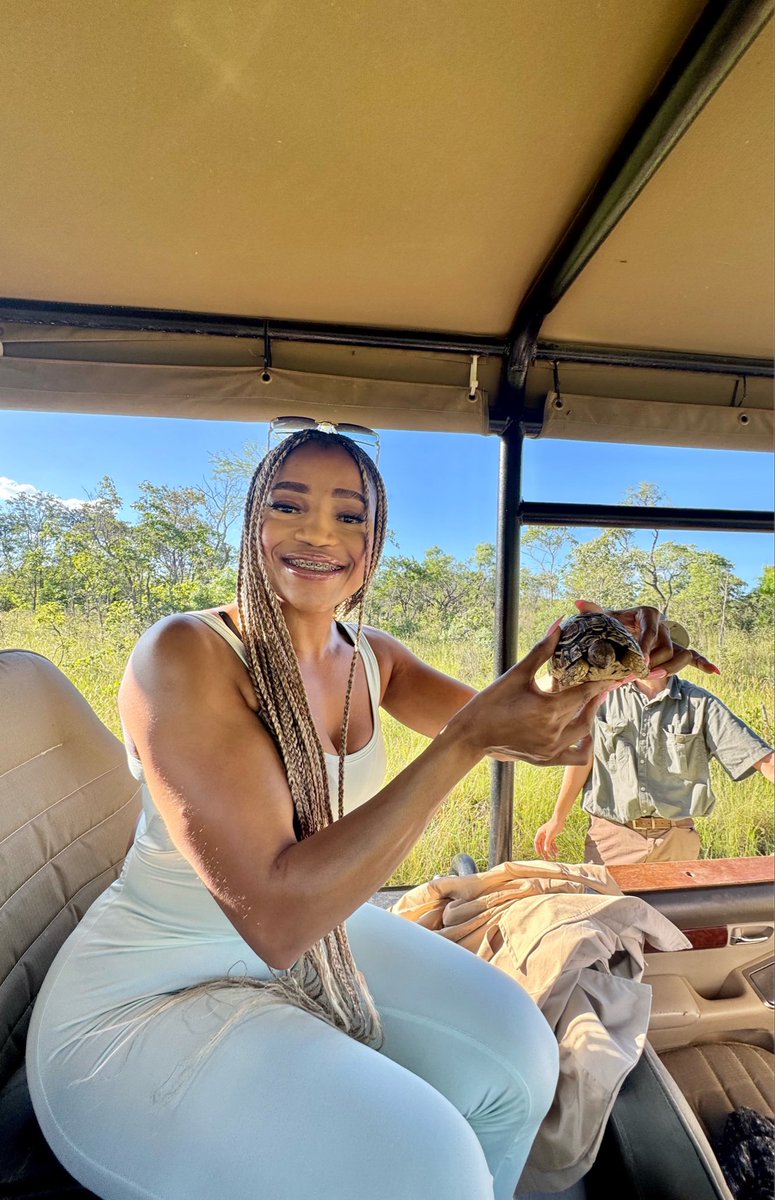 anngelc23's tweet photo. Sunset game drives 🐢 https://t.co/c5IP4gPfQ2