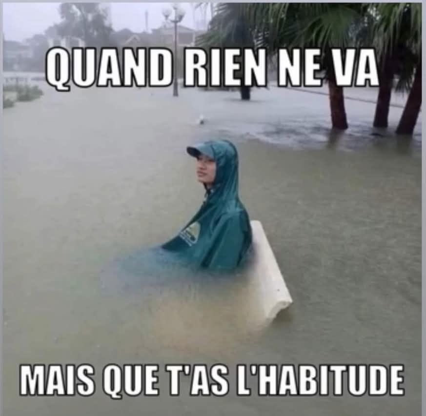 patchagil's tweet image. 