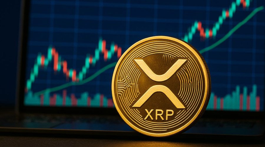 #XRP THE BEST