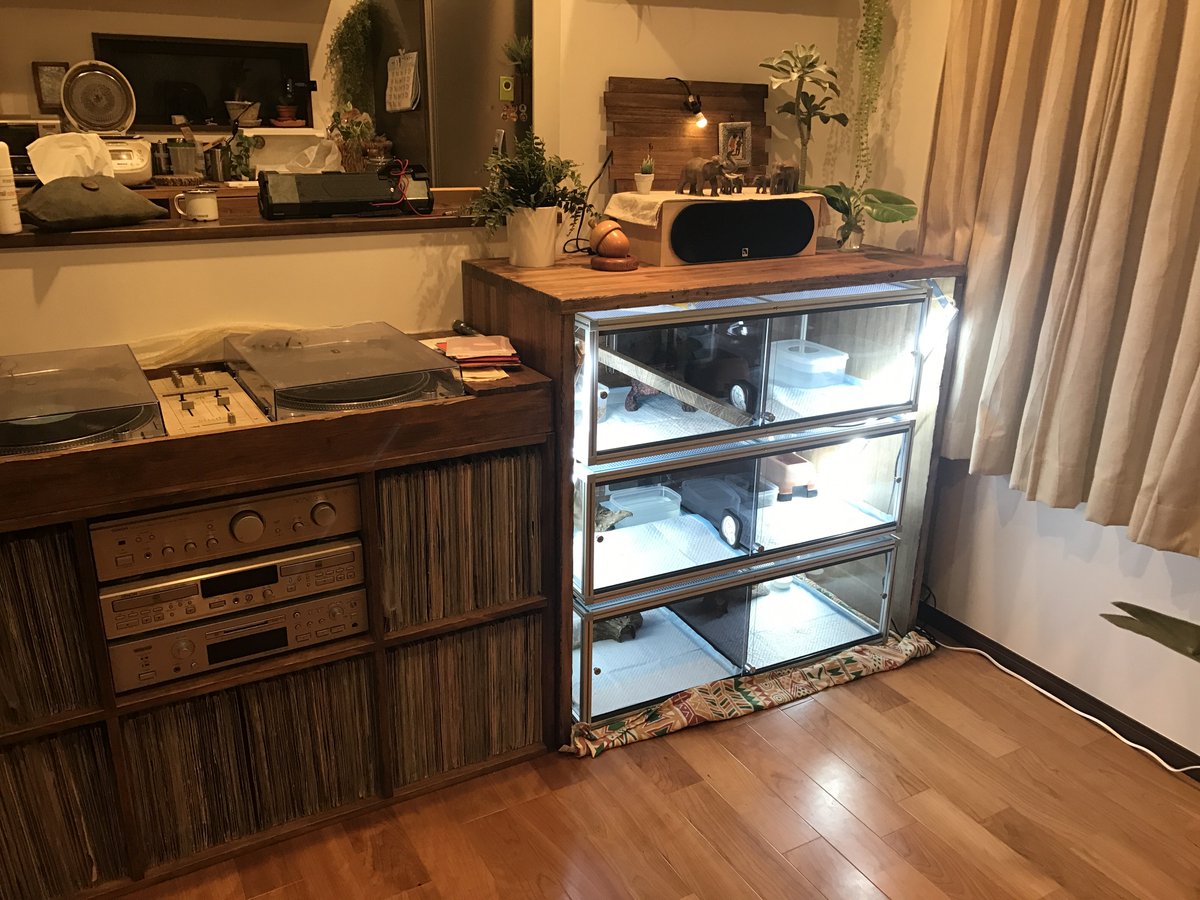 AnimalSHOPきなと・きなとのケージ屋さんおかげさまで10周年