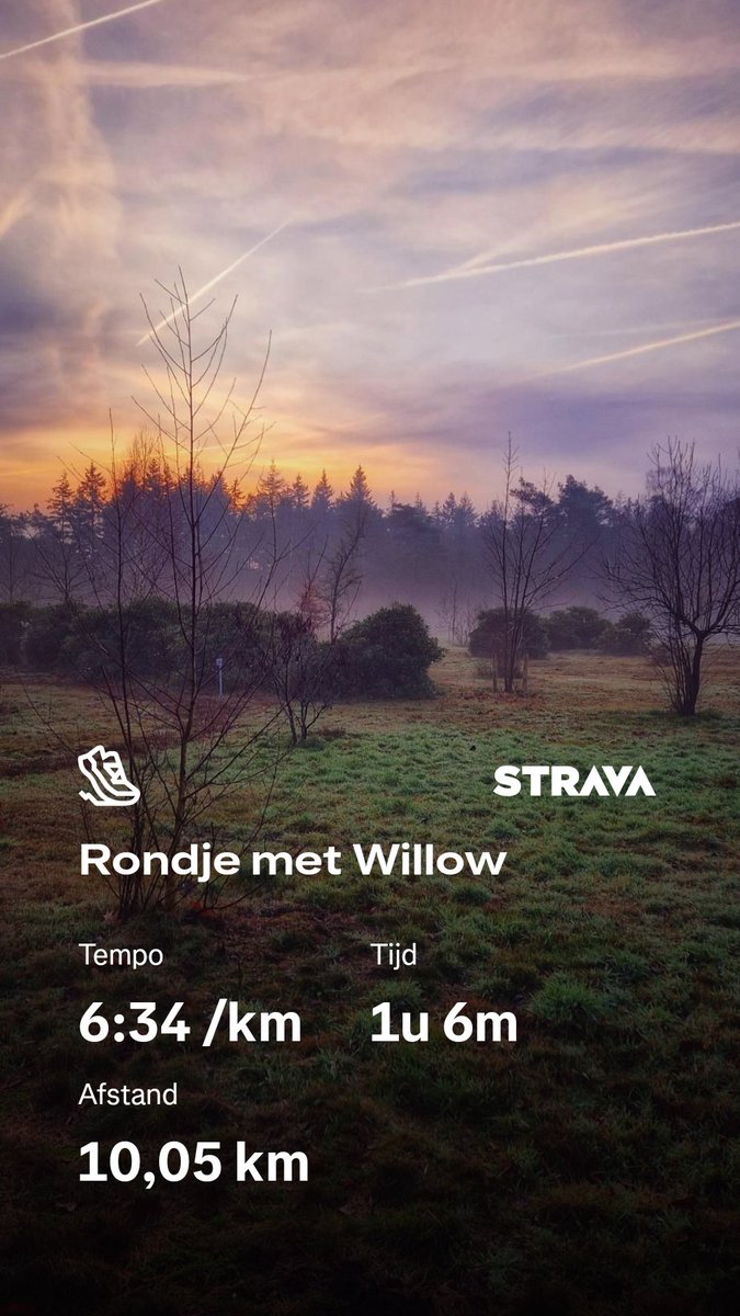 Morgenstond.....heerlijk gelopen met mijn grote vriend🐶 #trailrunning <a href="/loopmaatjes/">Loopmaatjes</a> <a href="/hardloopvriend/">Hardloopvriend</a>