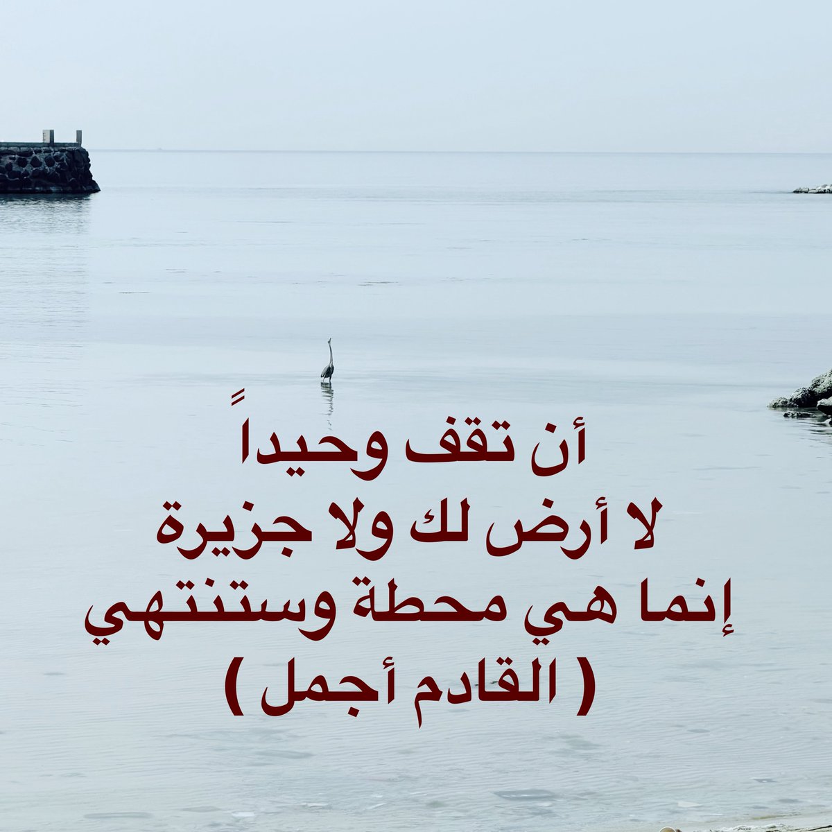 DR_HANI_GHAMDI's tweet photo. لا تخاف #اليوم ..

بكرة جايك #الخير بإذن الله
ومافي شي يدوم
مهما طال #الزمن،

وهذي سنّة #الحياة 
ولابد تفهم وتتفهم
وتعيش وتتعايش
على أسلوبها وآليتها ..

وبكرة أحلى بقدرة الله
لذلك إحسن الظن به .. https://t.co/n4B9lIWMf3