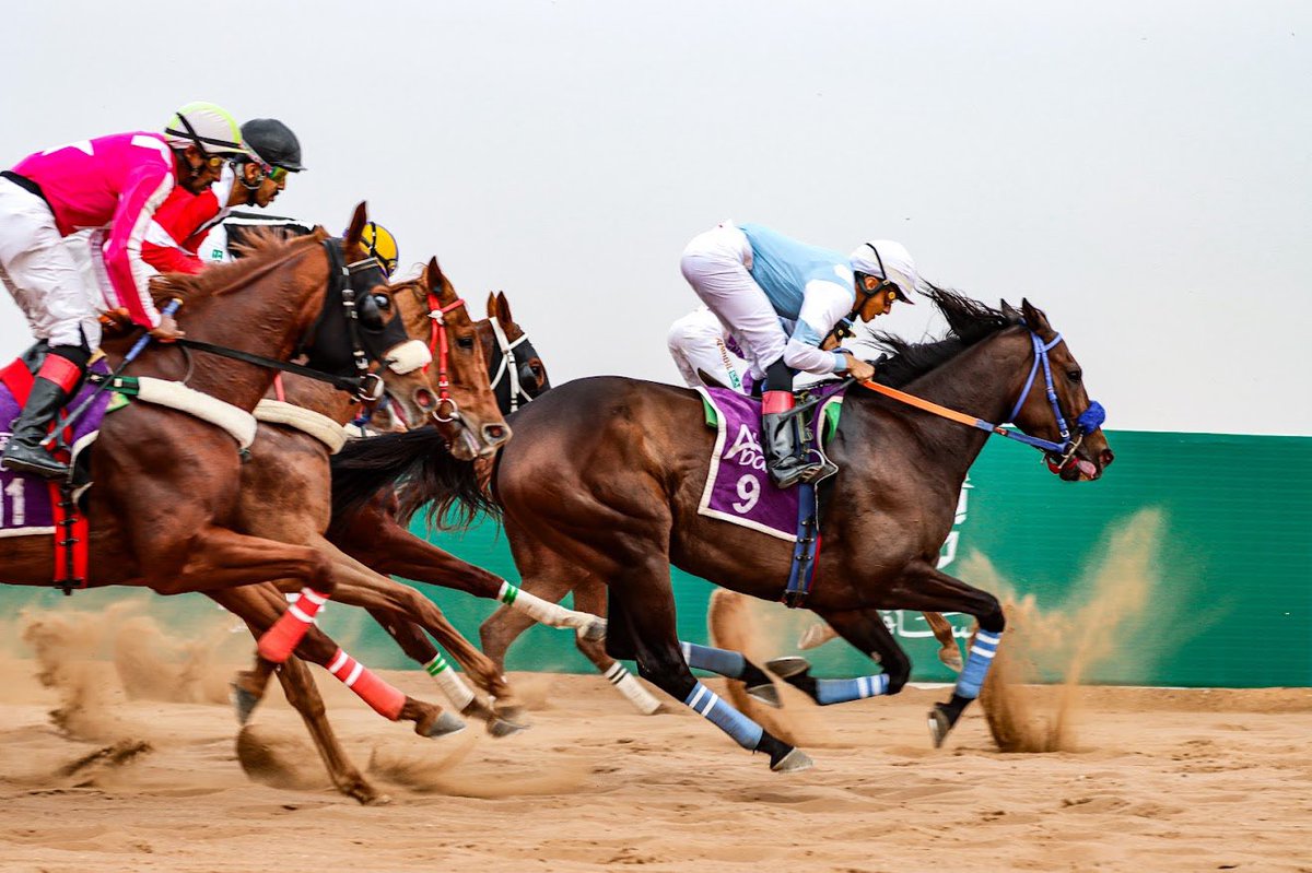 emara_hail's tweet photo. يقام غداً الاثنين بميدان #فروسية_حائل الحفل الخامس من #مهرجان_الامير_عبدالعزيز_لسباقات_الخيل3، على الأشواط التأهيلية لـ #مؤسسة_الملك_عبدالله_الإنسانية بمشاركة 71 جواداً، ويتخلله عدد من الفعاليات المصاحبة من عروض للخيل ومسابقات تفاعلية للجمهور. https://t.co/cOV1ZZh5PX
