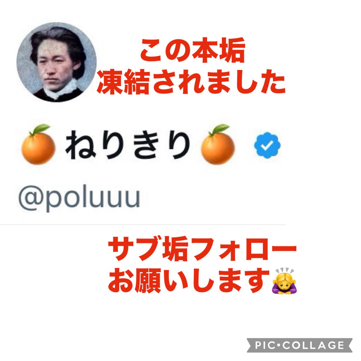 凍結やと・・？？ みんなでねりさん（サブ垢）をフォローや！ @dog5679_23p