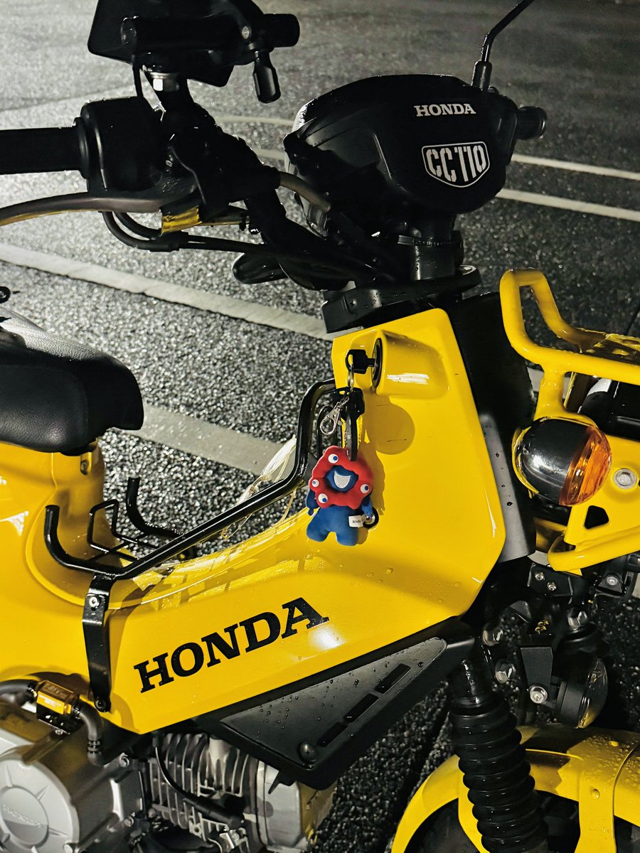 Sちゃん 𝐒ちゃん🌸猫Photo Rider (@Kuroneko_S_chan) / Posts / X