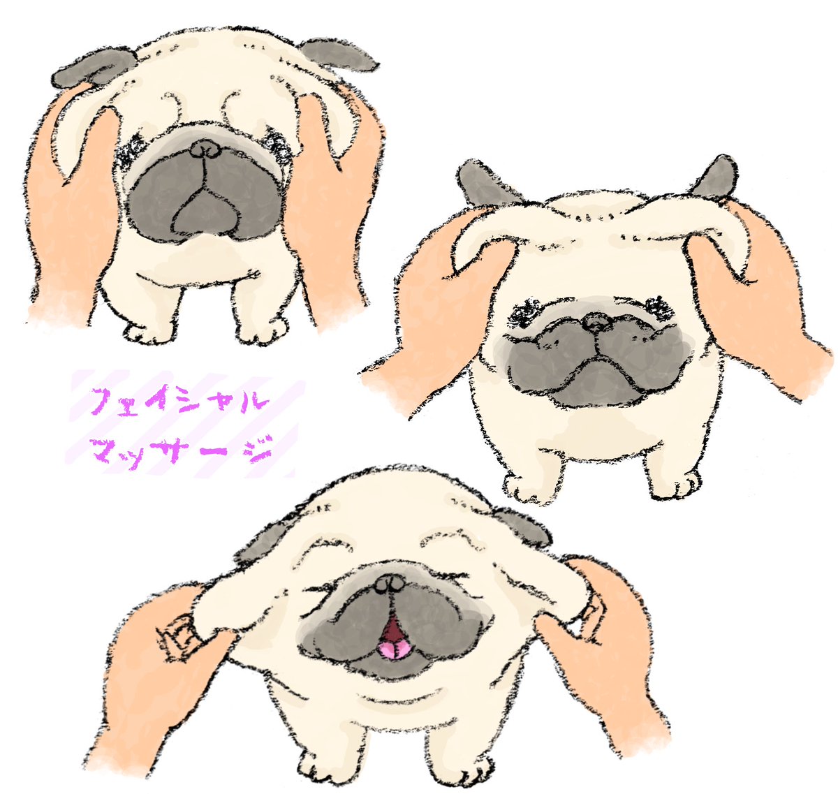 ハナちゃん (@89no87chan) / Posts / X