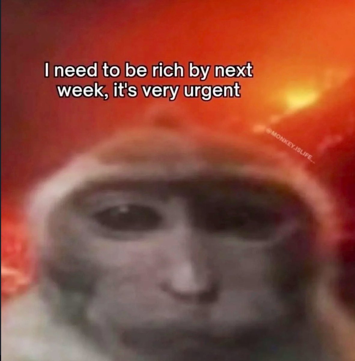 introvertsmemes's tweet image. 