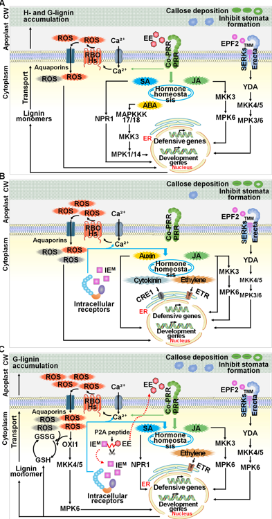 Molecular Plant & Plant Communications tweet media