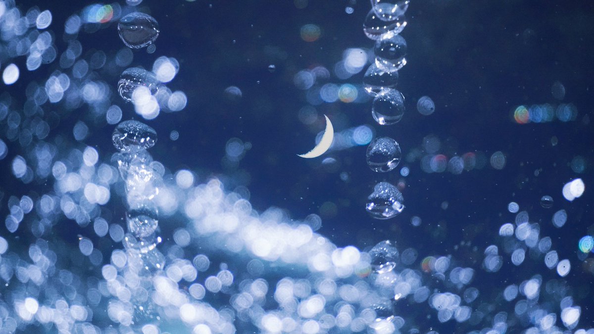 おいも (@oimo_3939) / Posts / X