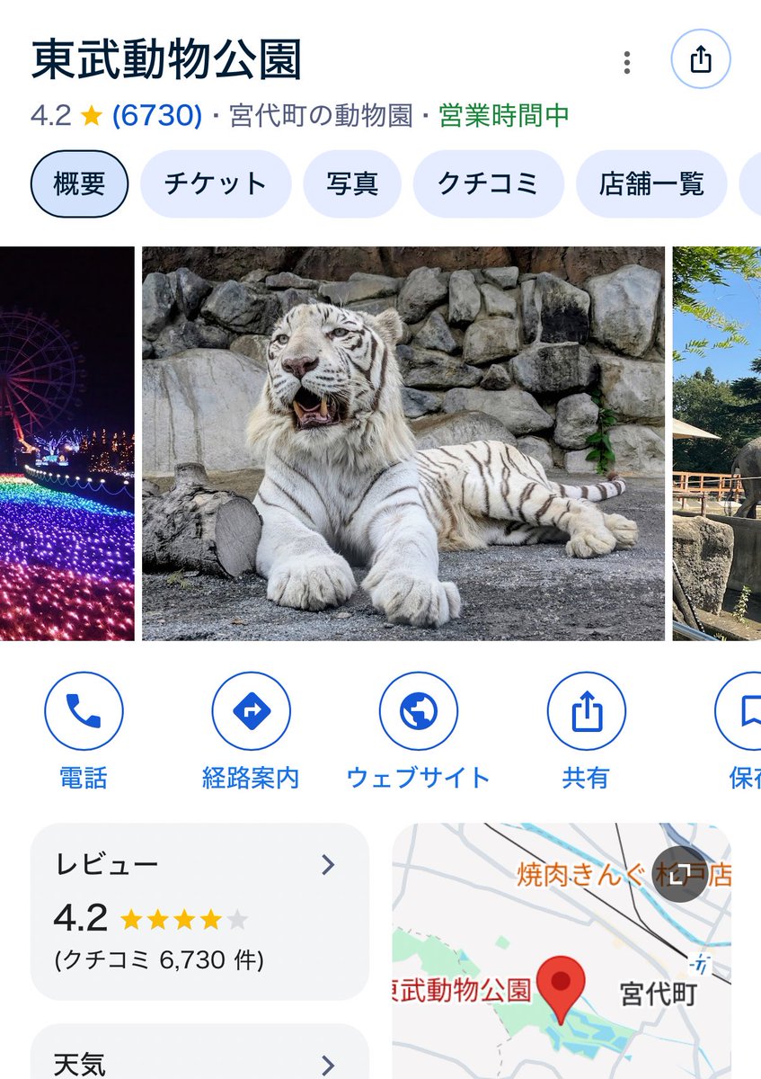 enonon122's tweet photo. 東武動物公園さ、やばくないですか？？都内からはちと遠いけどまじで人いない（本当に、いない）し入園料安いのに動物園兼遊園地でめちゃくちゃ広いし、ジェットコースターガチだし、動物も色んな種類いて大人3人で行ってめちゃくちゃ楽しかったんですが？？？ただ、閉園が16 時半（なぜ） https://t.co/zKxVWfUcvS