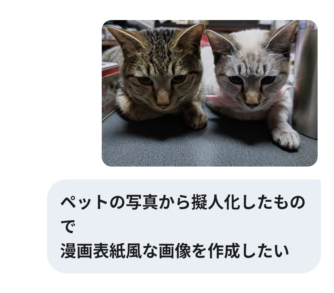 ねここ🐾11/15 KPF♡^ↀᴥↀ^♡ (@necoco__na) / Posts / X