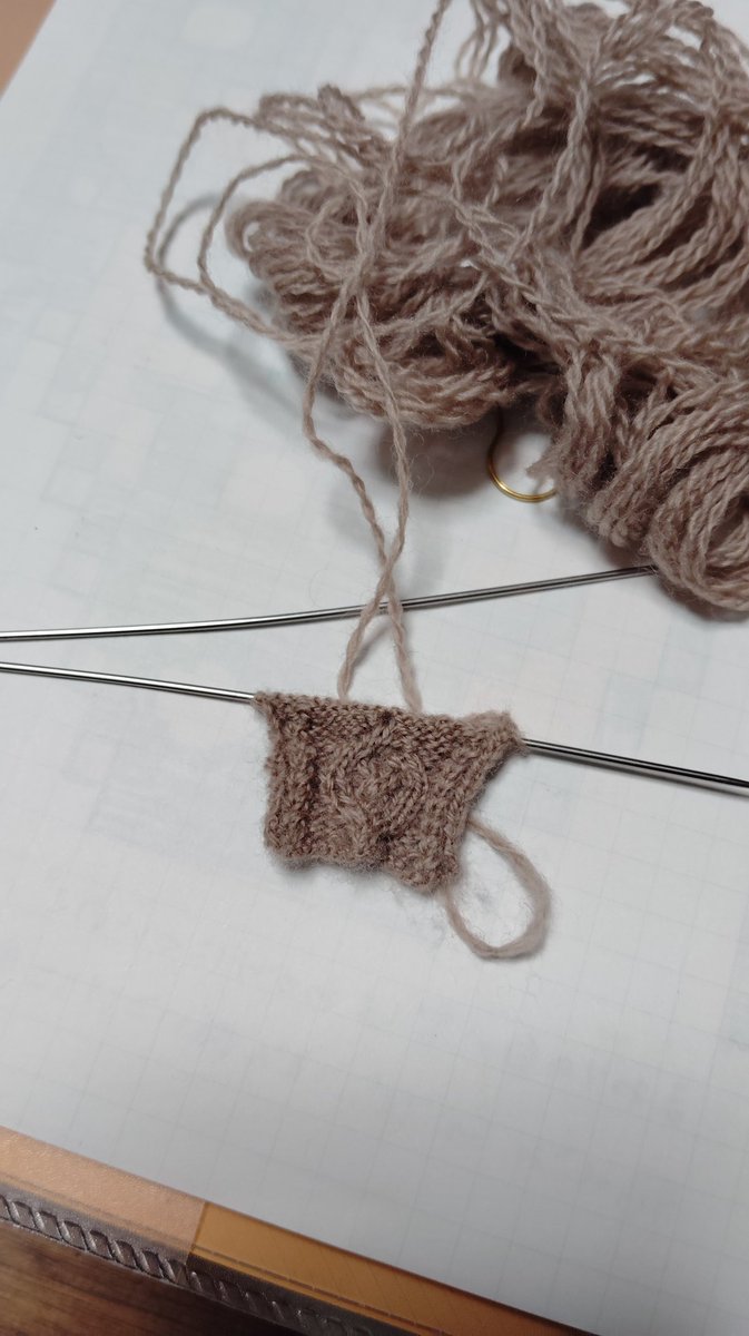 次なんですけど、アラン模様のカーディガンを作りたいなぁと……