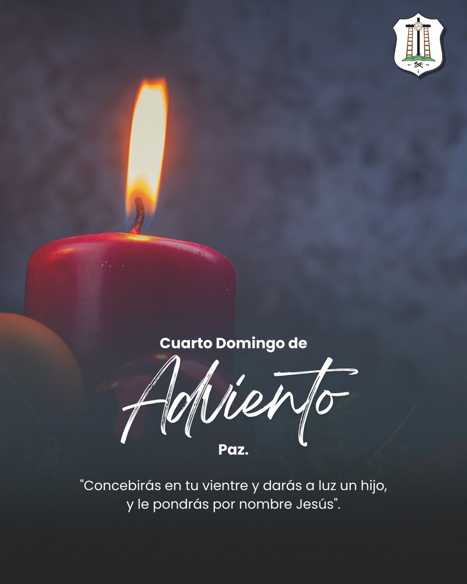 El Descendimiento Cuenca tweet media