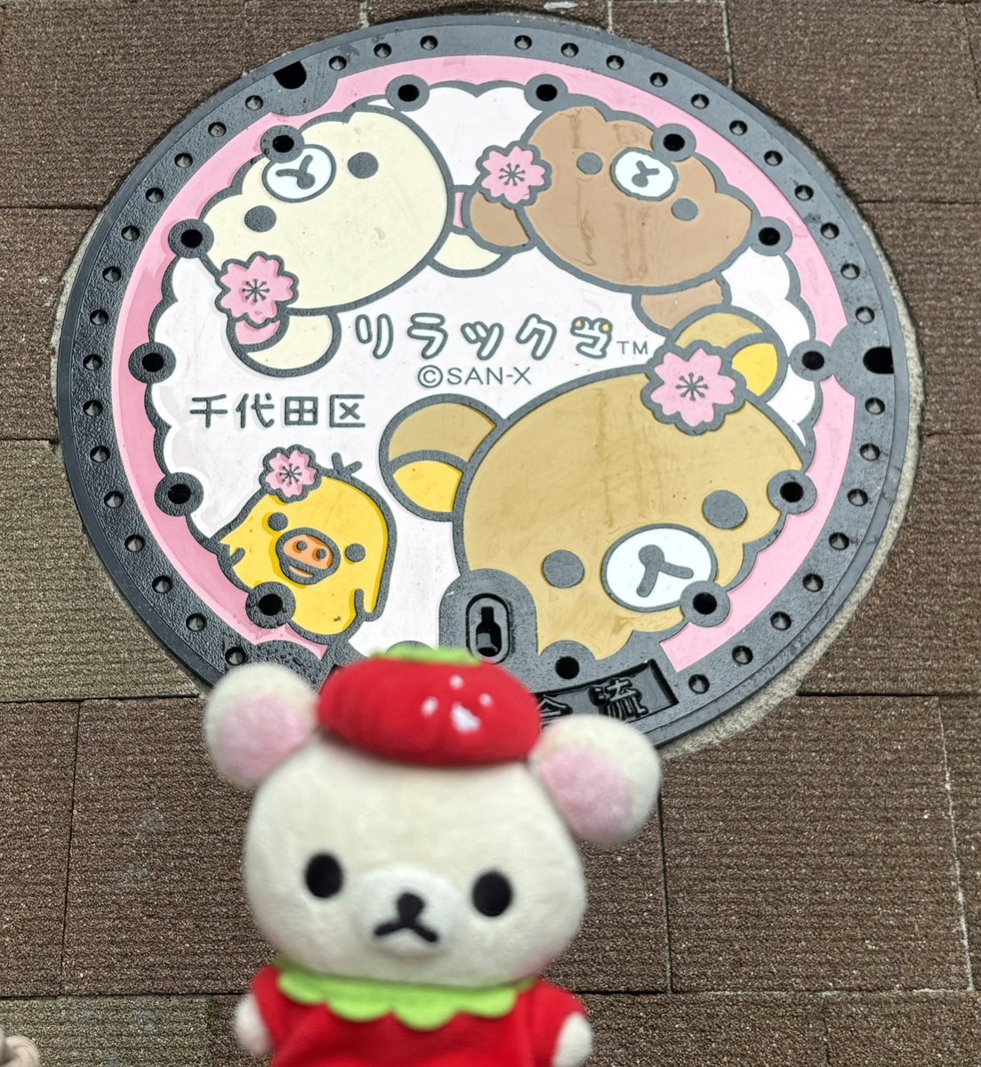 🍓🧸えりりん🧸🍓 (@tanaeririnn) / Posts / X