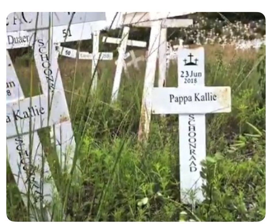 LadyM1306's tweet photo. “The slaughter of Boers”

20 crosses with the same surname. You’re delusional and you need help. https://t.co/bmWkK5llUz