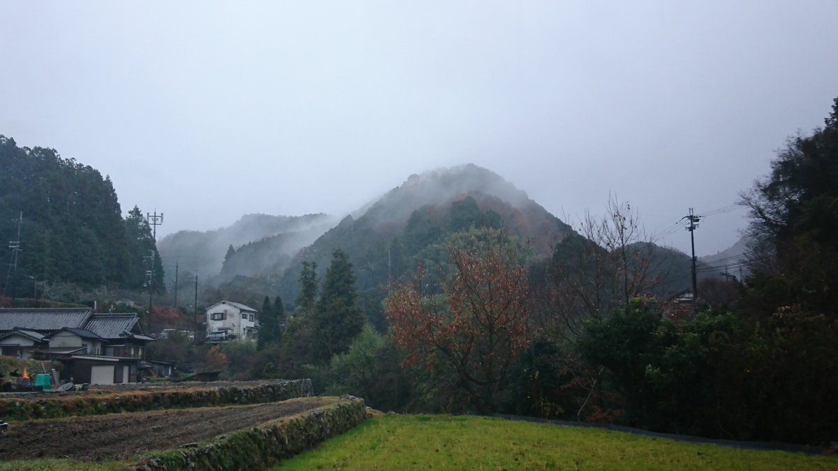 The mountains were lovely and misty today but the rain was so persistent that even I wasn't tempted to go hiking.

I had to work anyway.