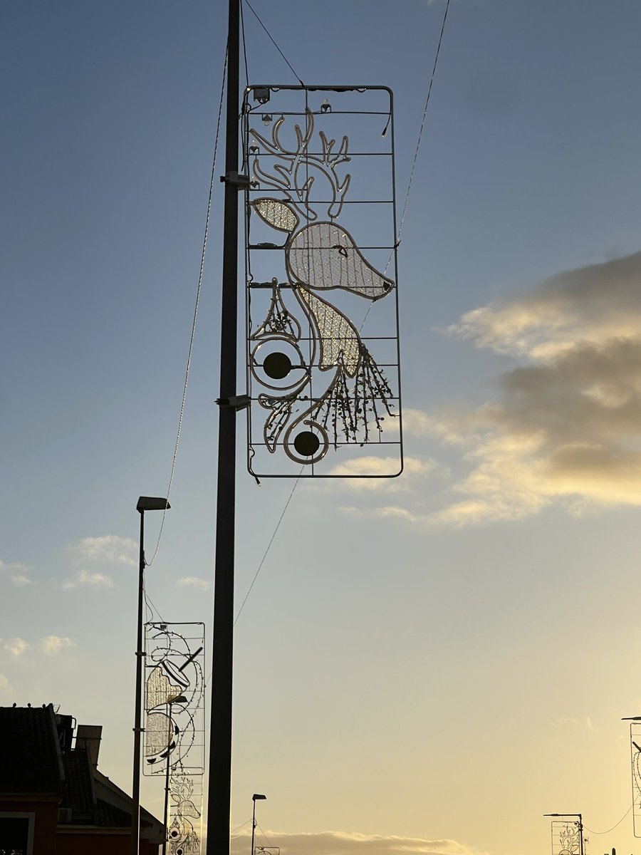 Javier Joya 🎬 tweet media