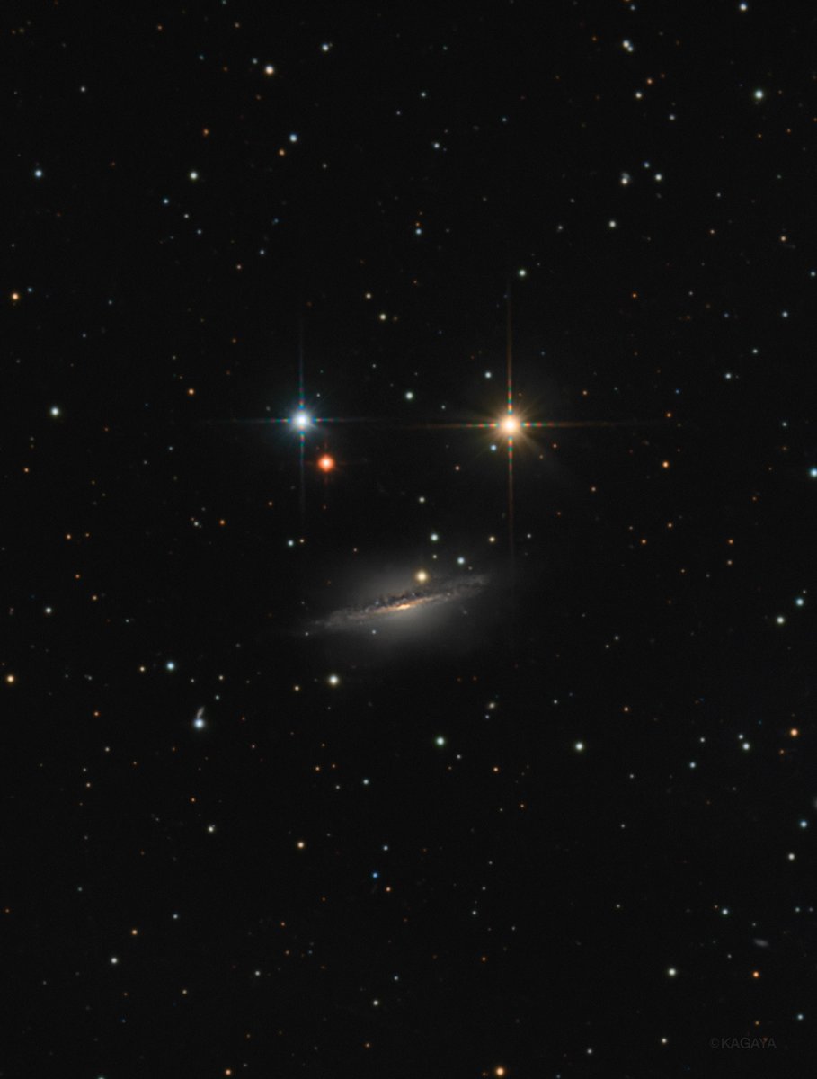 Datchy🦚PLASMA11 (@DatchyP11) / Posts / X