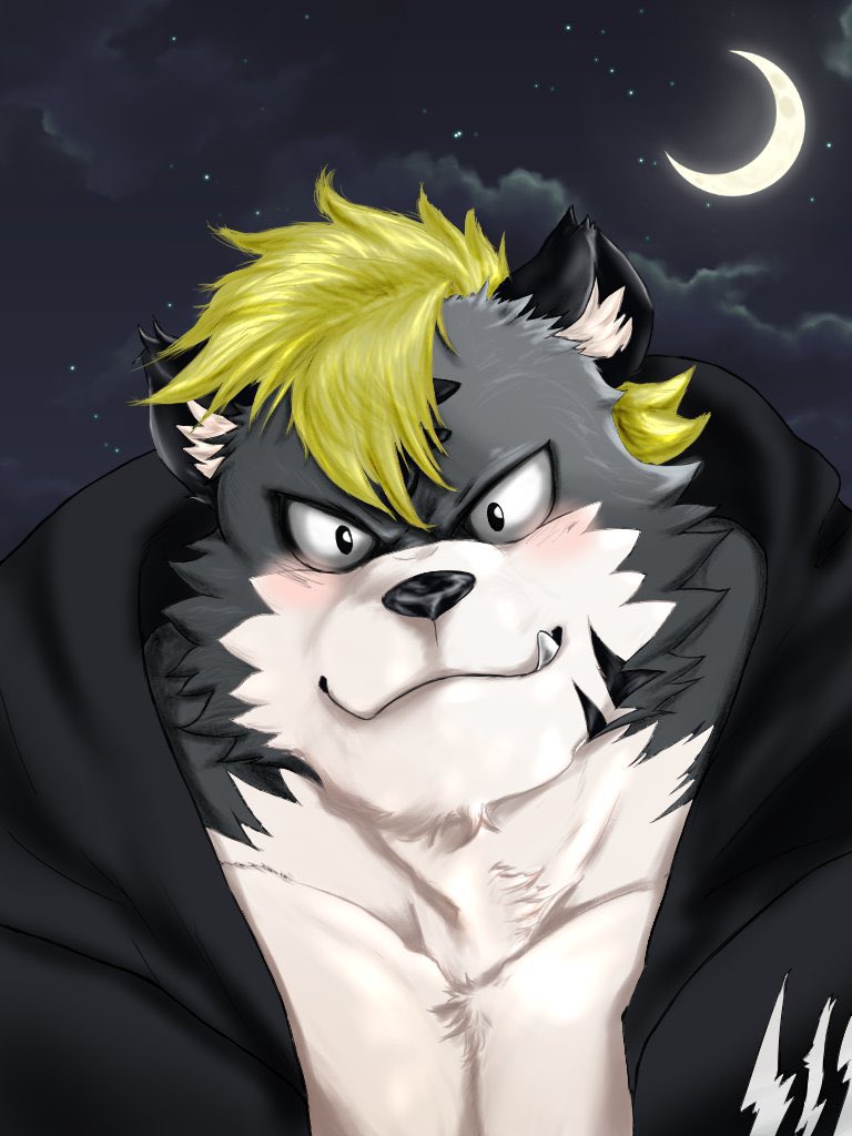 本人的に選ぶ今年の4枚