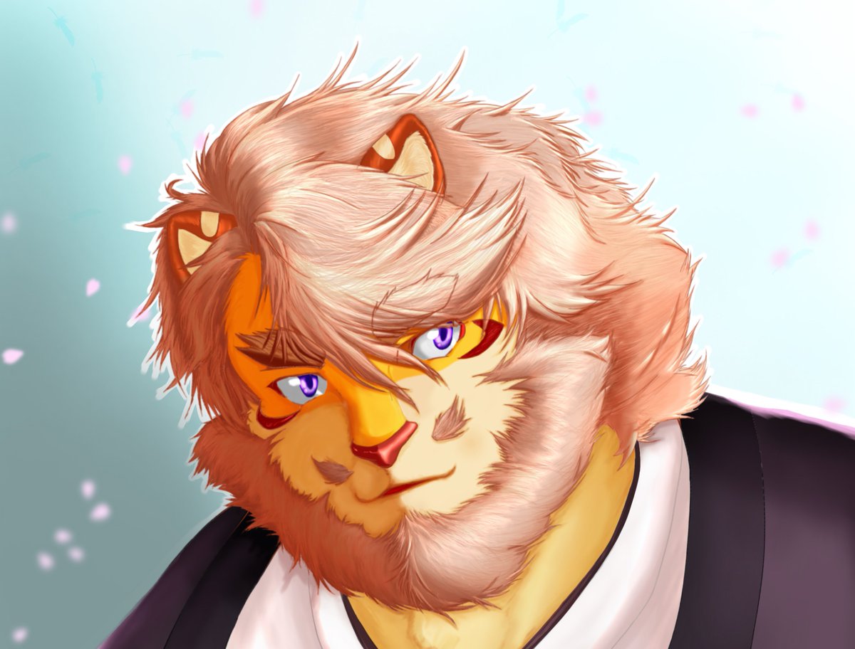 本人的に選ぶ今年の4枚