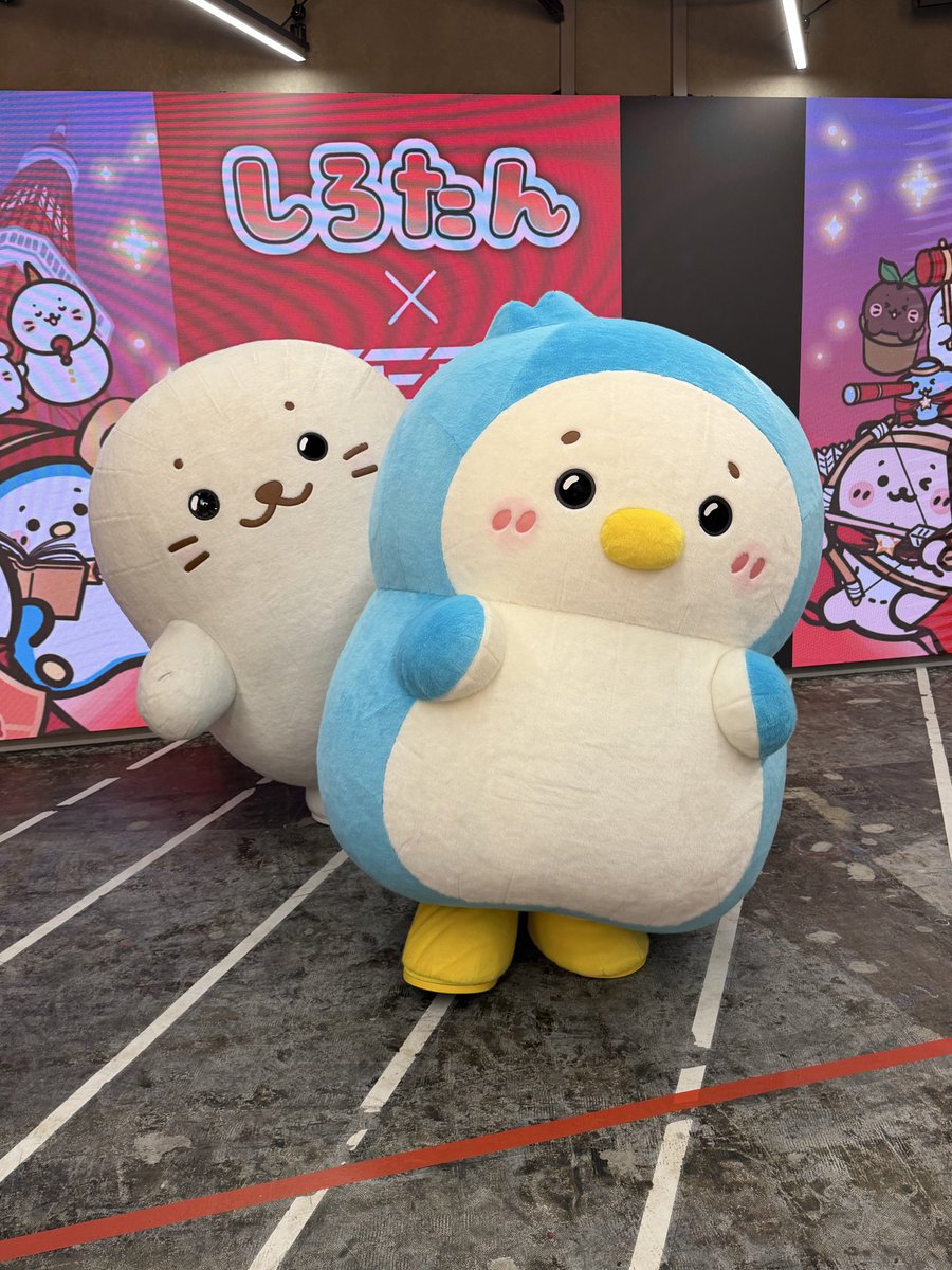 りこたん (@ricotan4689) / Posts / X