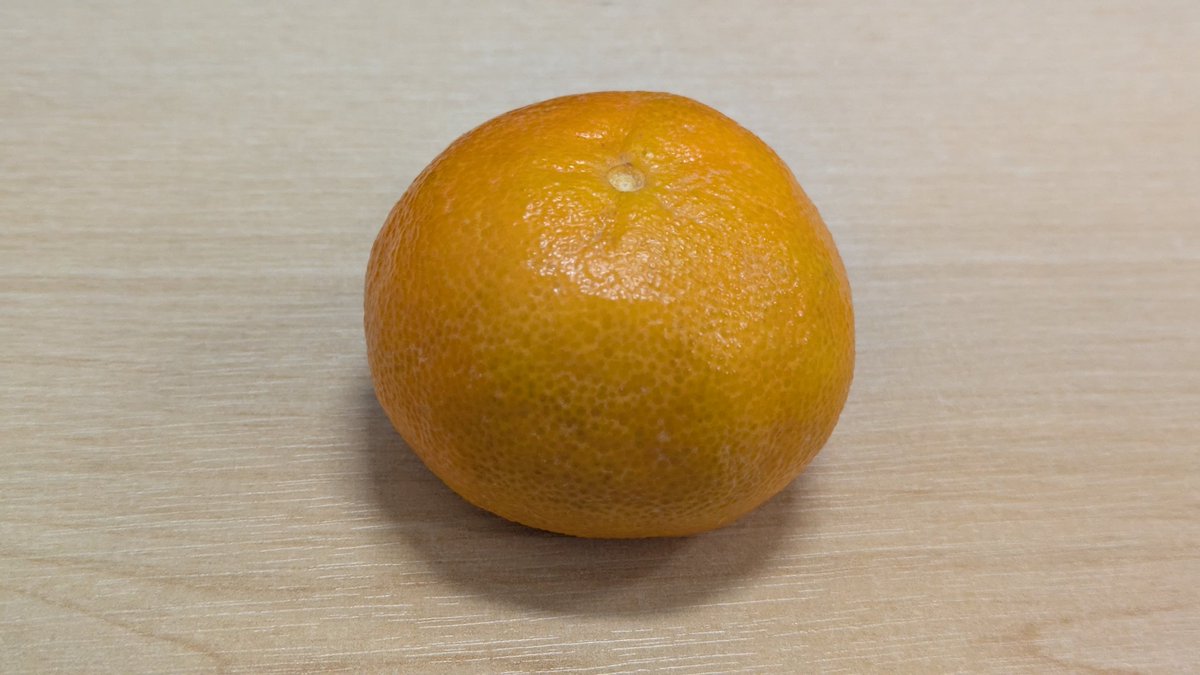 Dolphin.Runner tweet media