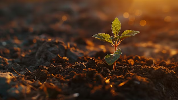 VerseByShridhar's tweet image. Greatness isn’t born in perfection...it’s born in motion. Begin where you stand, grow as you move, and let consistency carve the path to your best self.
#vss365 #stepbystep #Starttoday #Dailyprogress #Consistency #keepmoving #actionoverperfection