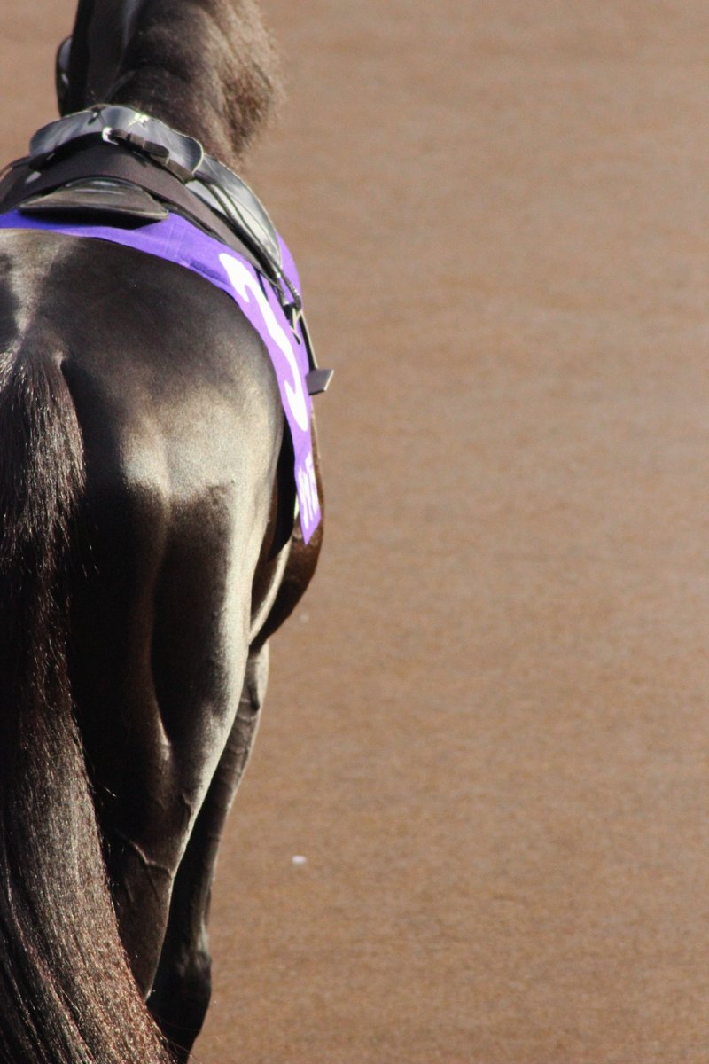 ジャスティンパレス Justin Palace (@Justin__Palace) / Posts / X