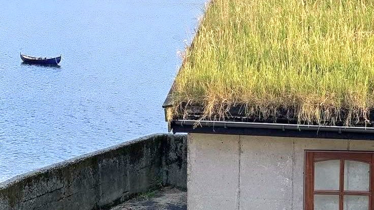 moodyonmoon's tweet image. 