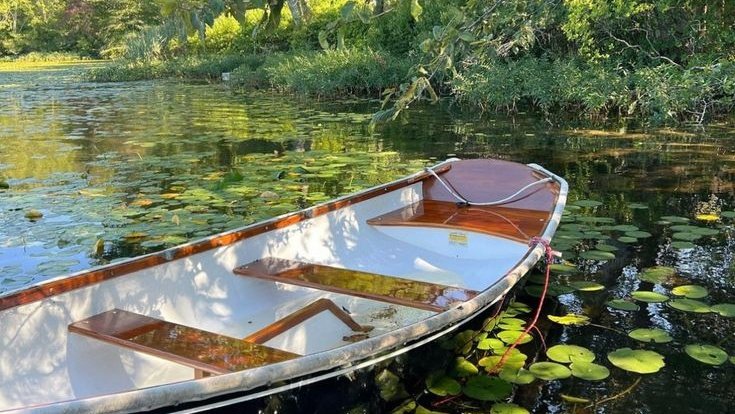 moodyonmoon's tweet image. 