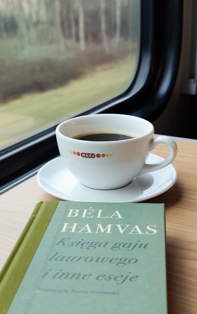 MLiskiewicz's tweet image. Nie jest poetą, ktoś, kto chce coś osiągnąć. Nie umie pisać ten, kto przy każdym zdaniu zadaje sobie pytanie, co powiedziałaby na to sąsiadka.
#BélaHamvas