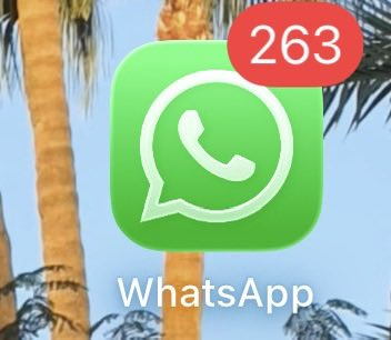 Evaaaa_1995's tweet photo. Quand t’es pas en France et que @Mallaau_ &amp; @marineIvgn commentent le prime 😳🤣🤣 https://t.co/K9ETWpv4F2