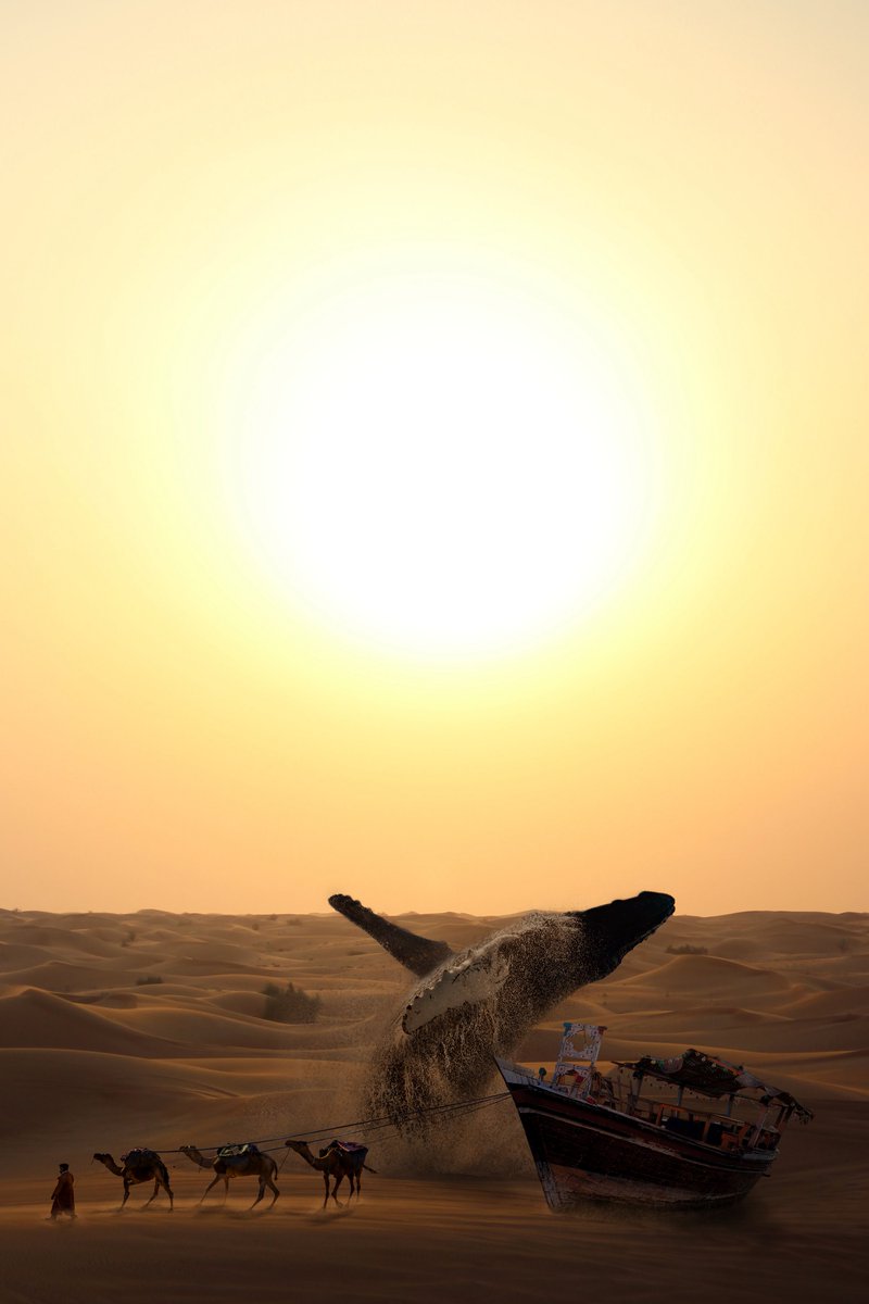 People of the Sahara 🦂