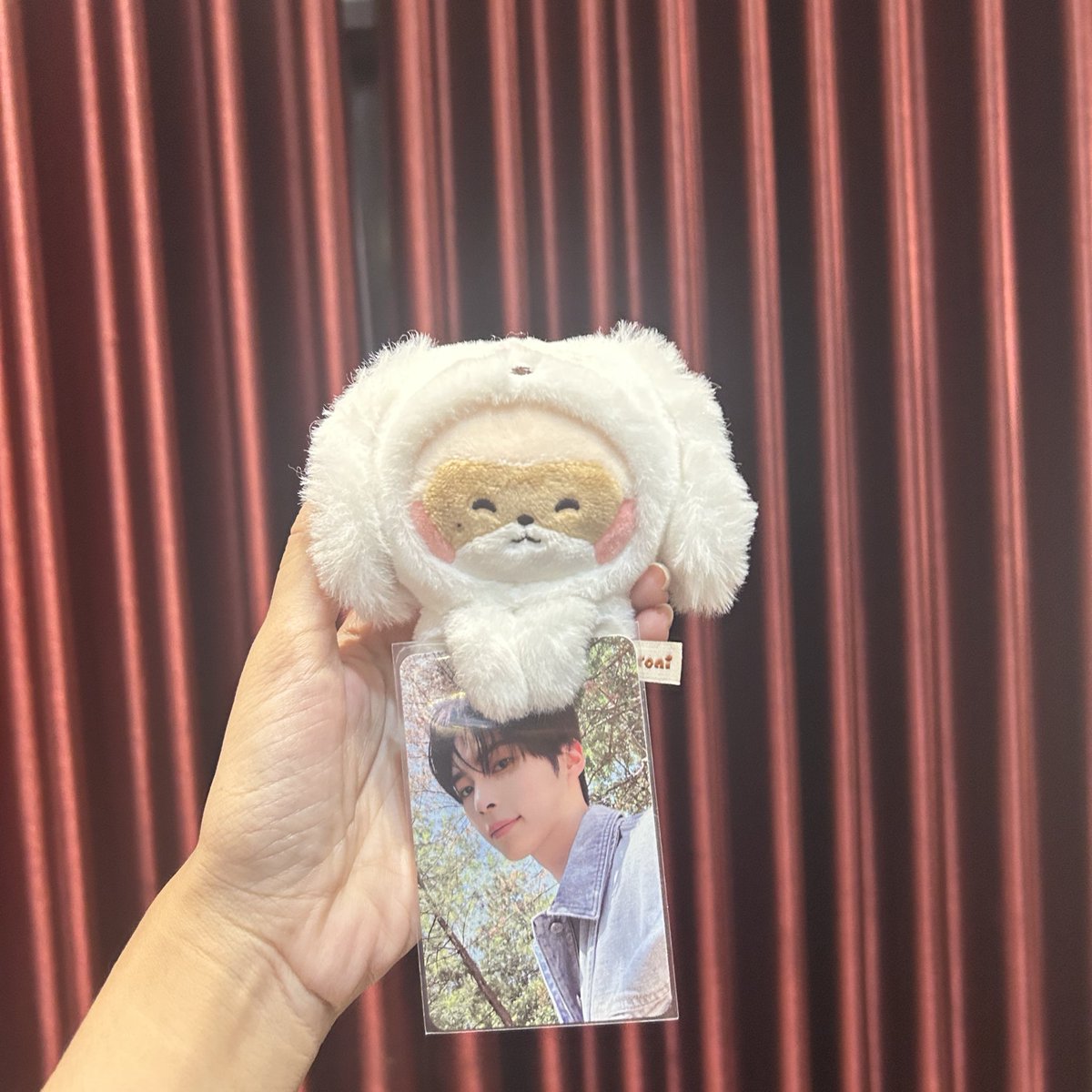 woeoyo's tweet image. 