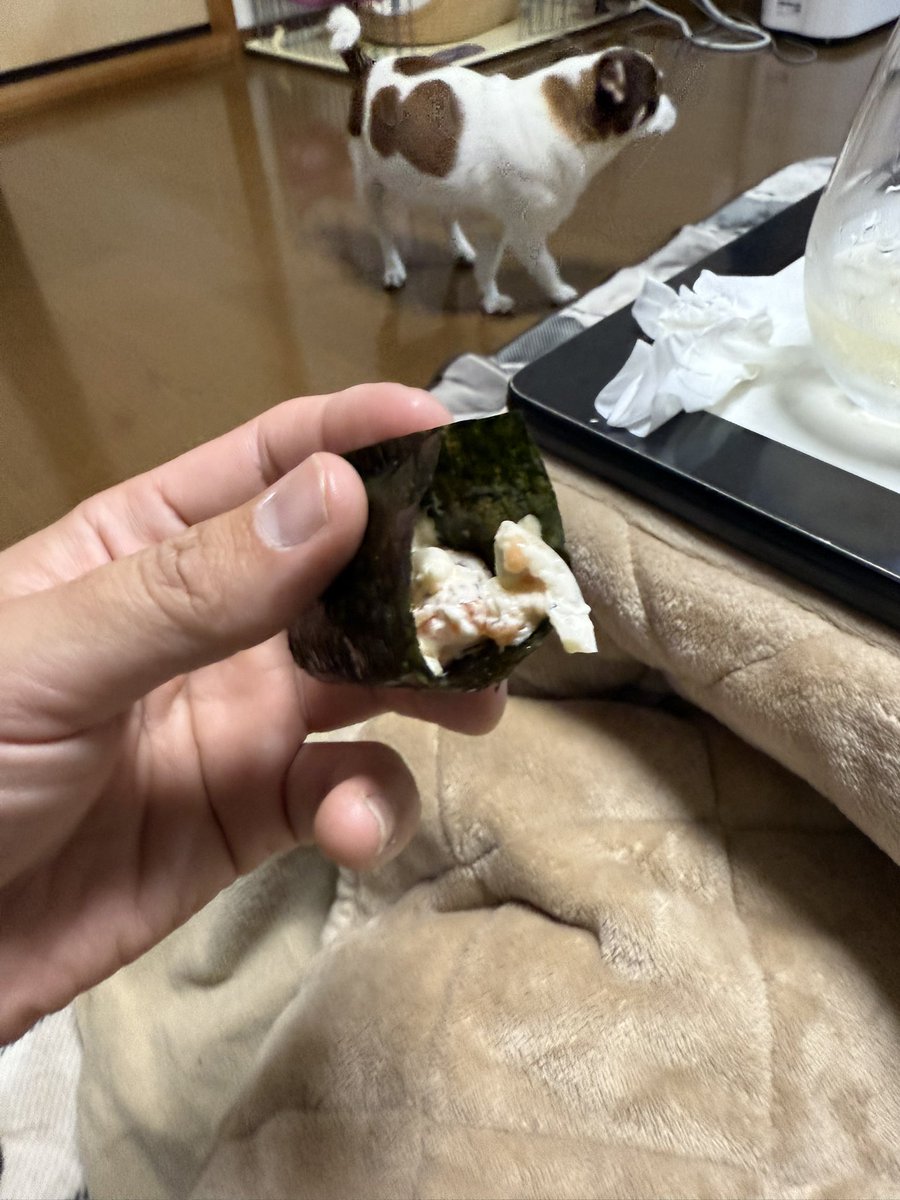 今日はエビチリと返礼品のカキフライ作った
カキフライ美味え
かき醬油海苔も美味い 