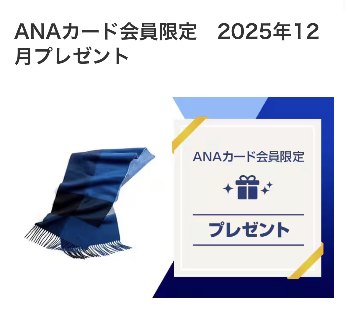 ⚠️本日12/25まで⚠️ ANAカード会員限定｜12月プレゼント