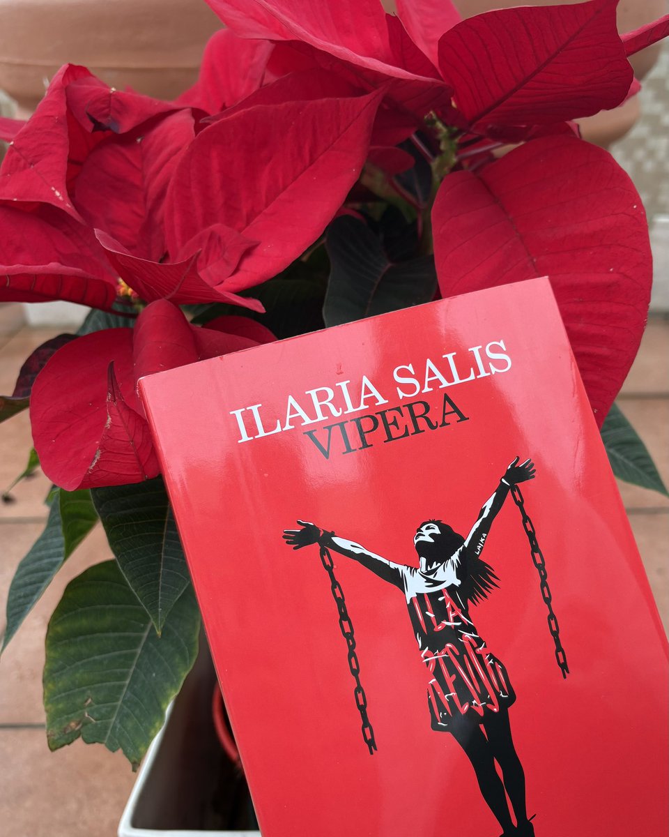 Ilaria Salis tweet media