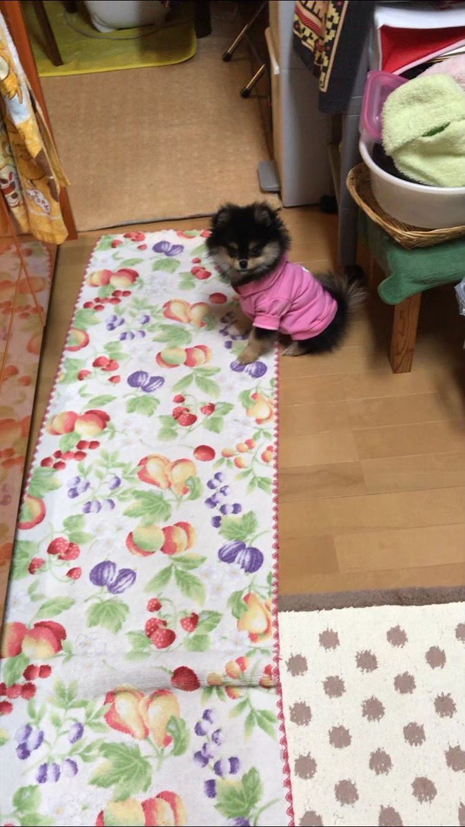 あやの tweet media
