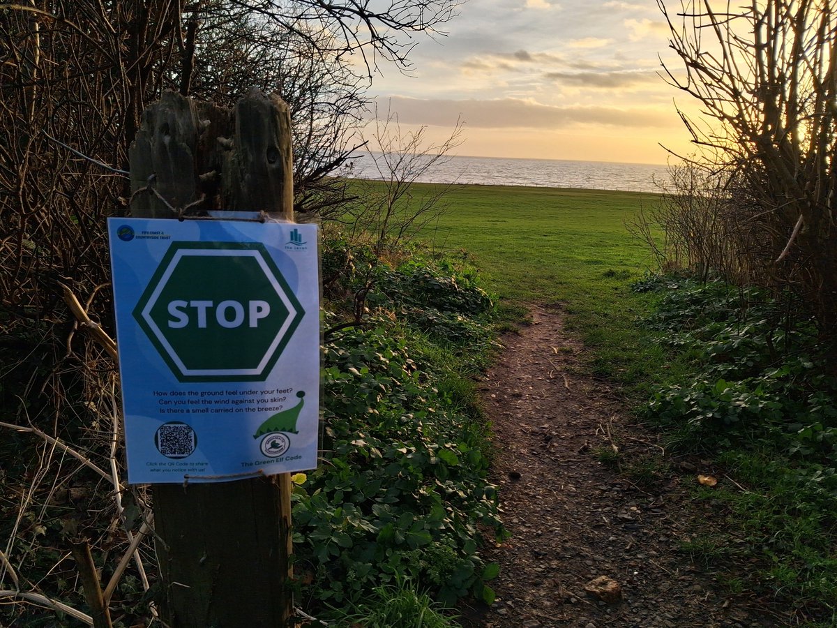 The Leven Programme tweet media