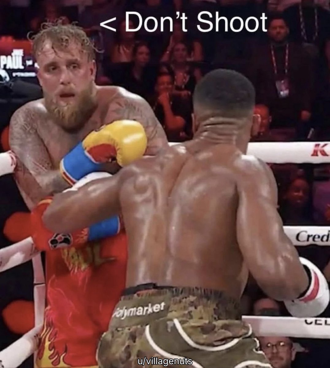 TheRooster's tweet image. 